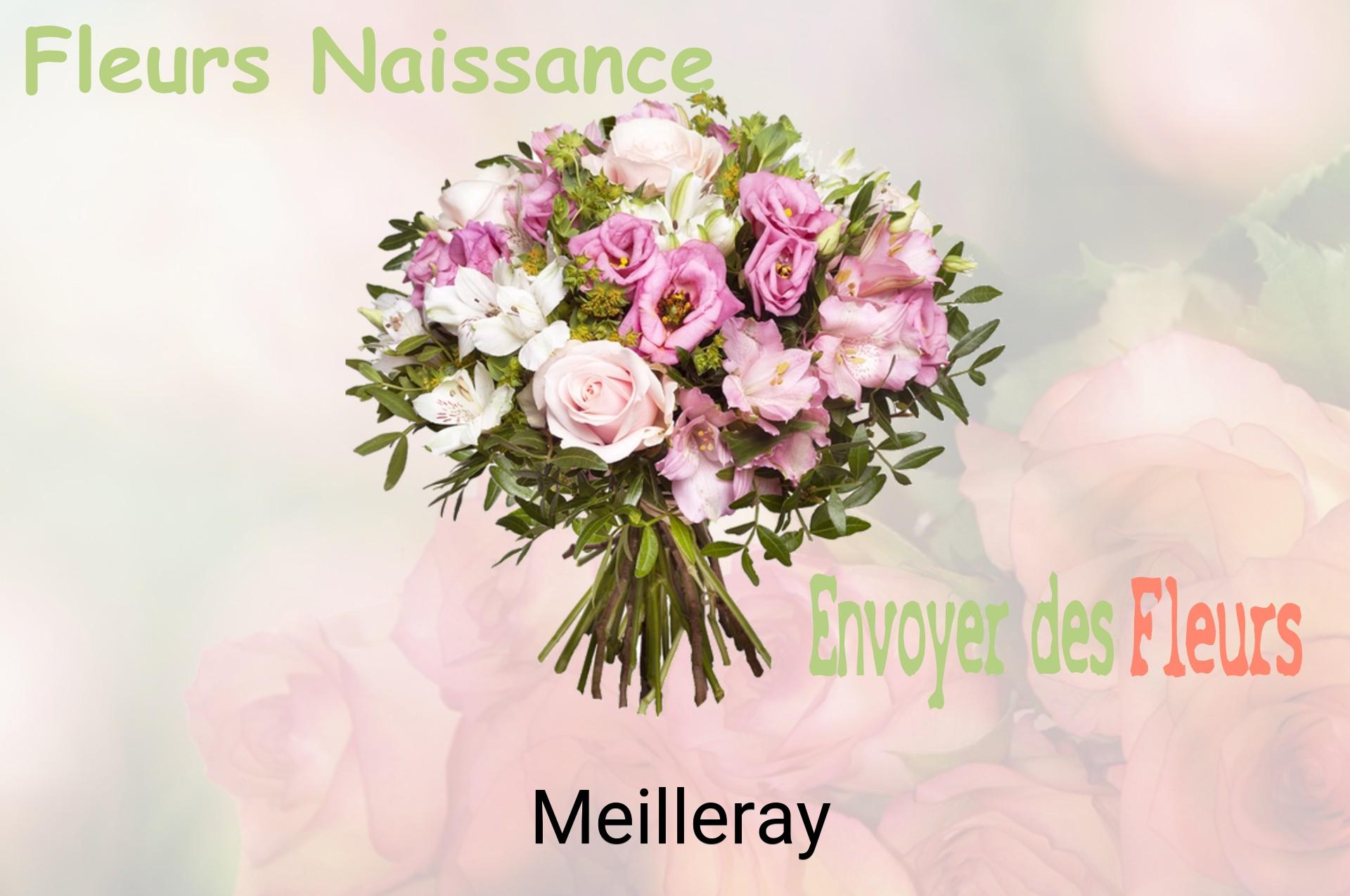 Bouquet de fleurs de naissance livré à Meilleray