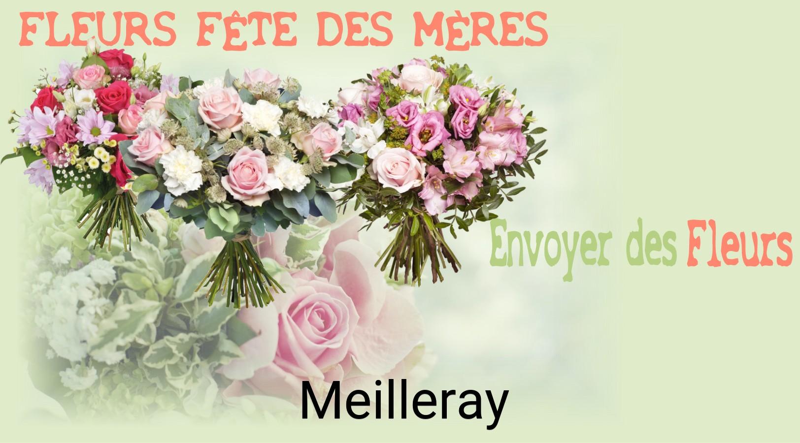 Bouquet de Fête des Mères livré à Meilleray